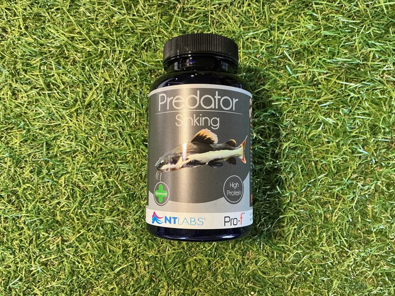 NT labs predator sinking 165g