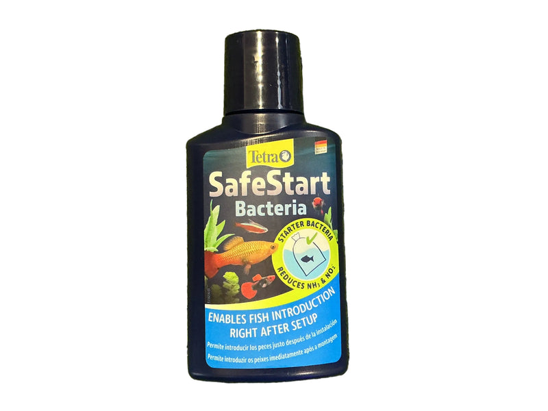 Safe start bacteria