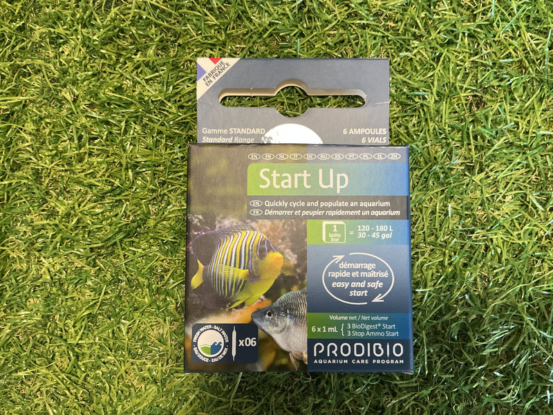 Start up