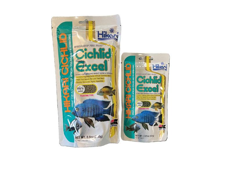 Hikari cichlid excel mini