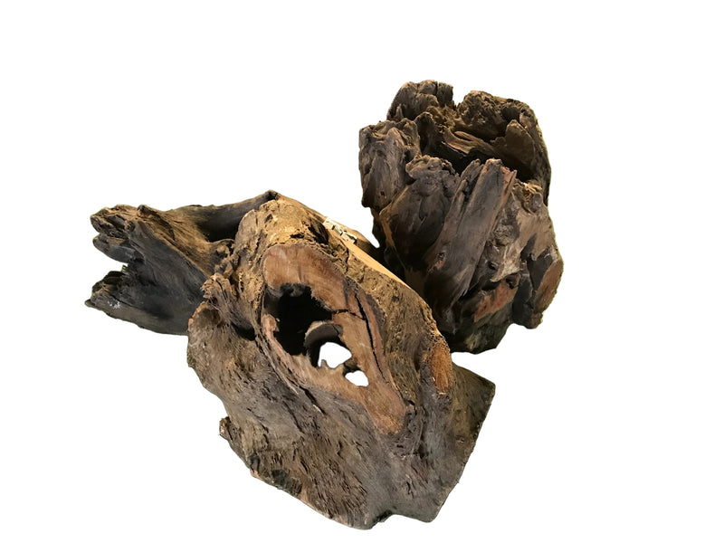 Tree Stump 25-30 cms