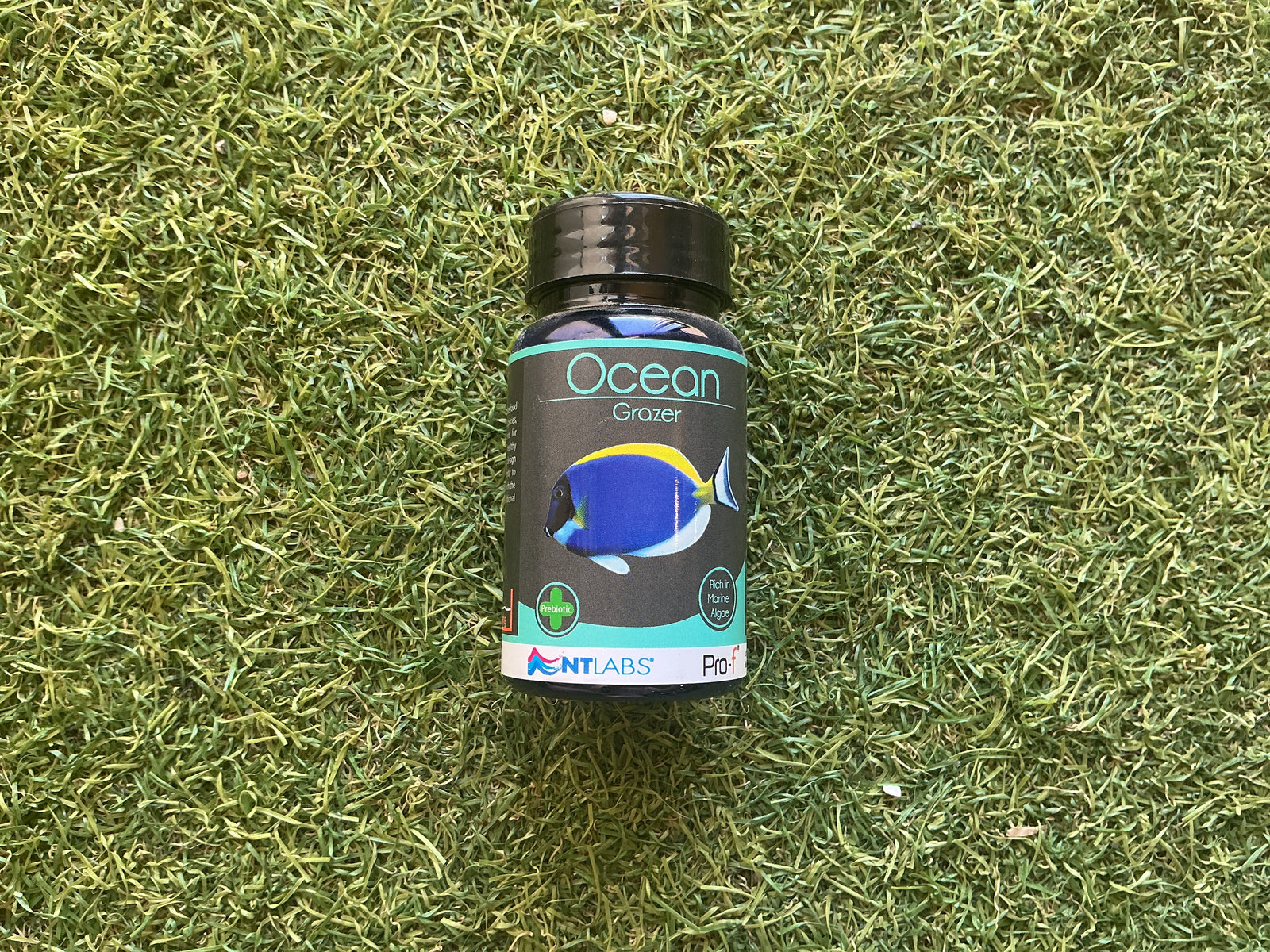 NTLabs Ocean grazer 40g