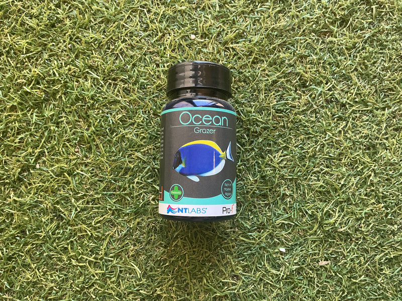 NTLabs Ocean grazer 40g