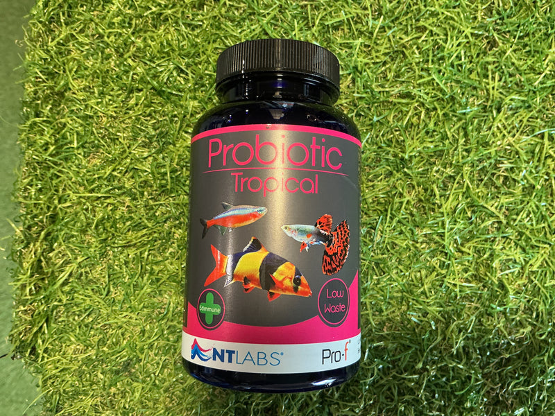 Probiotic tropical