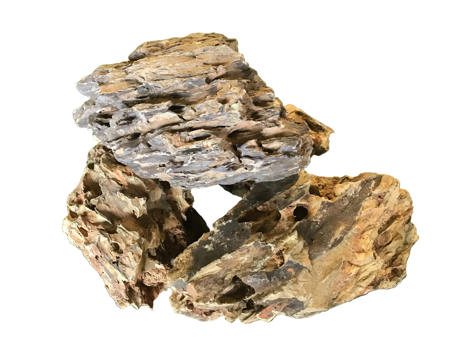 Brown Holey Rock