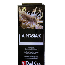 Red Sea Aiptasia x