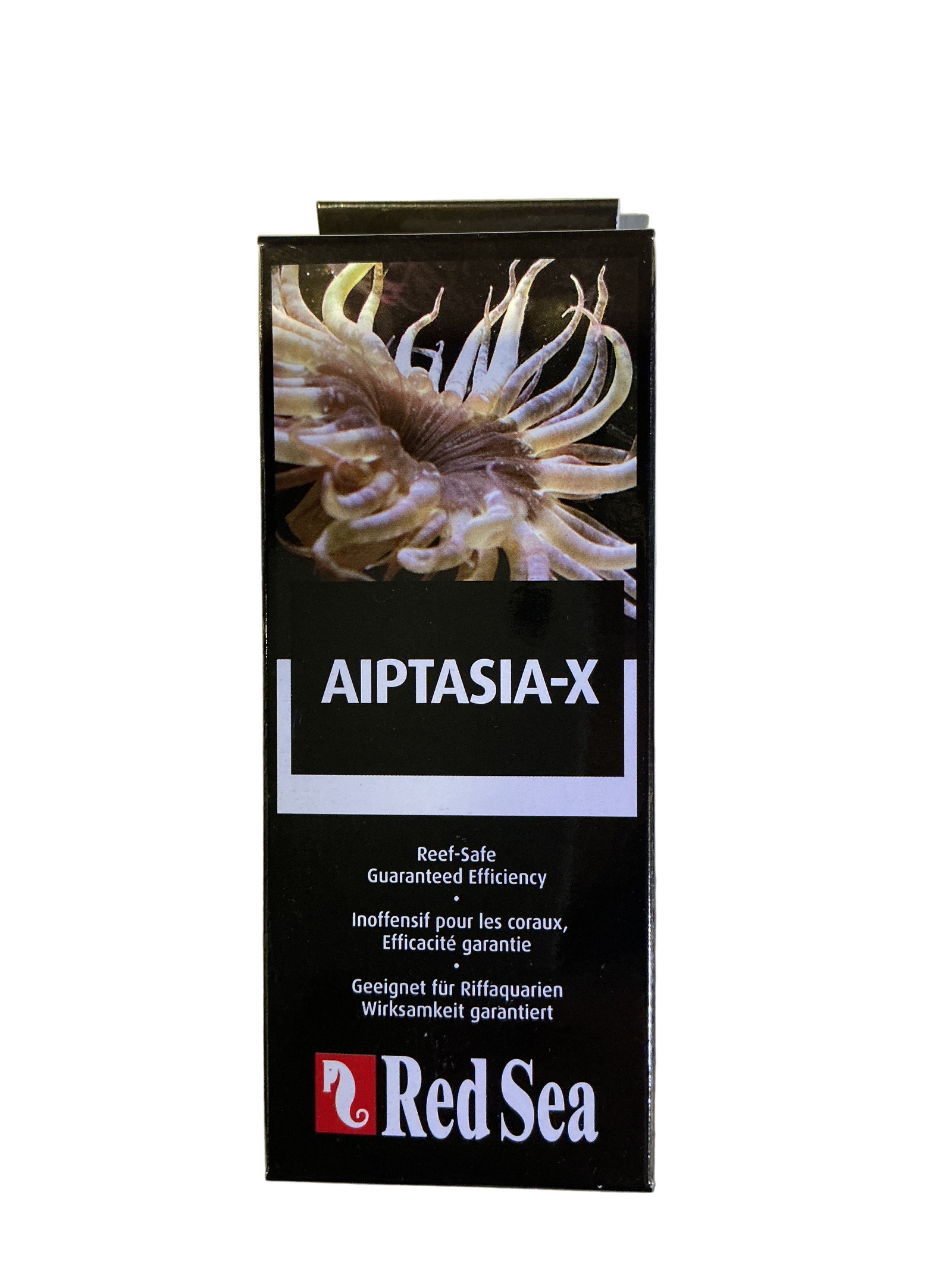 Red Sea Aiptasia x