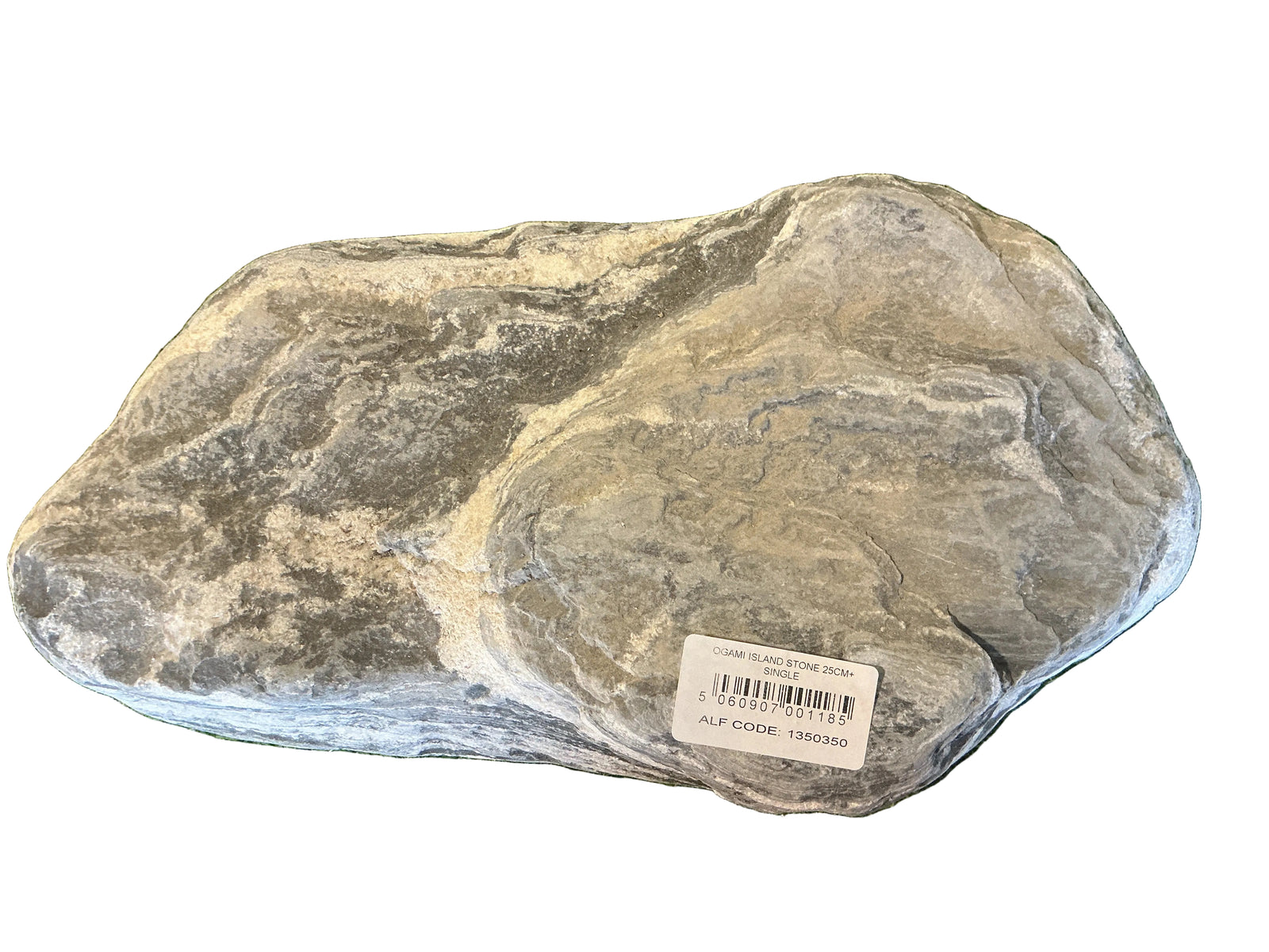 Ogami island stone 25cm+