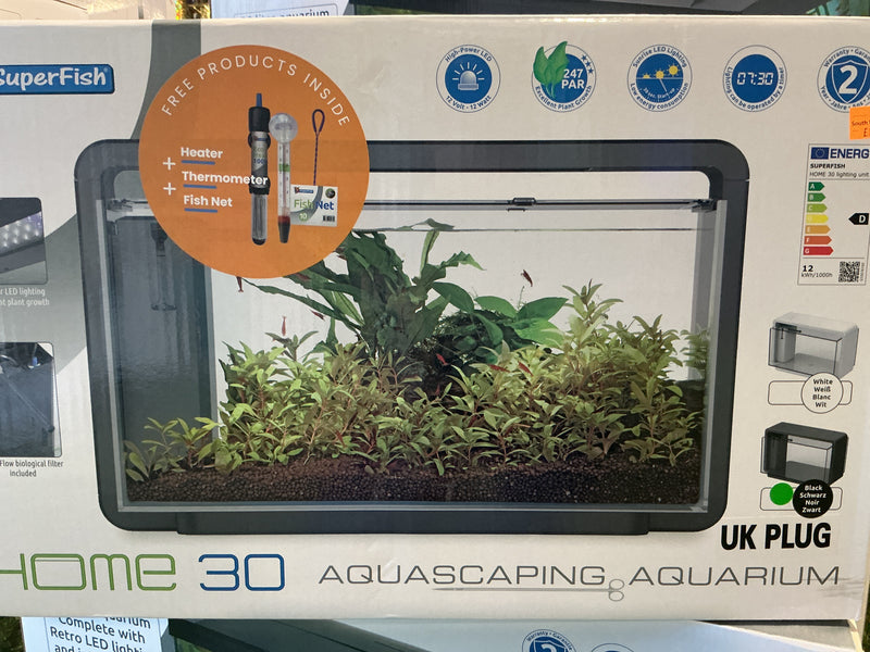 Home aquascaping aquarium