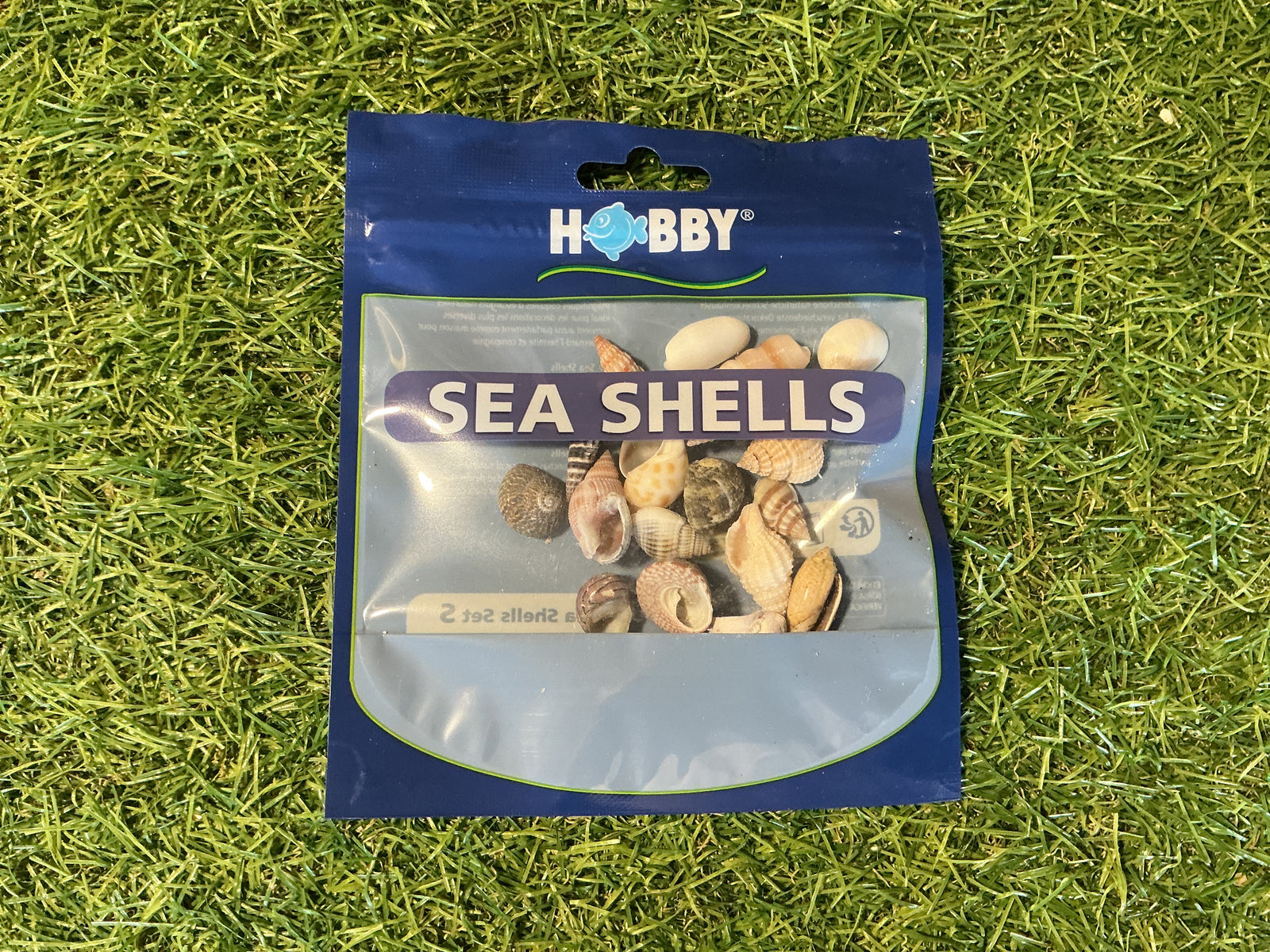 Shells S/M/L