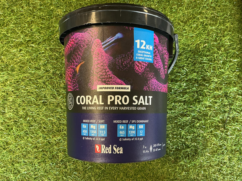 Coral pro salt
