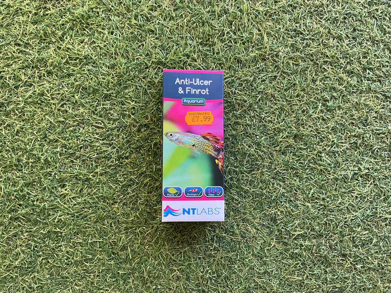 NTLabs Anti-Ulcer & Finrot