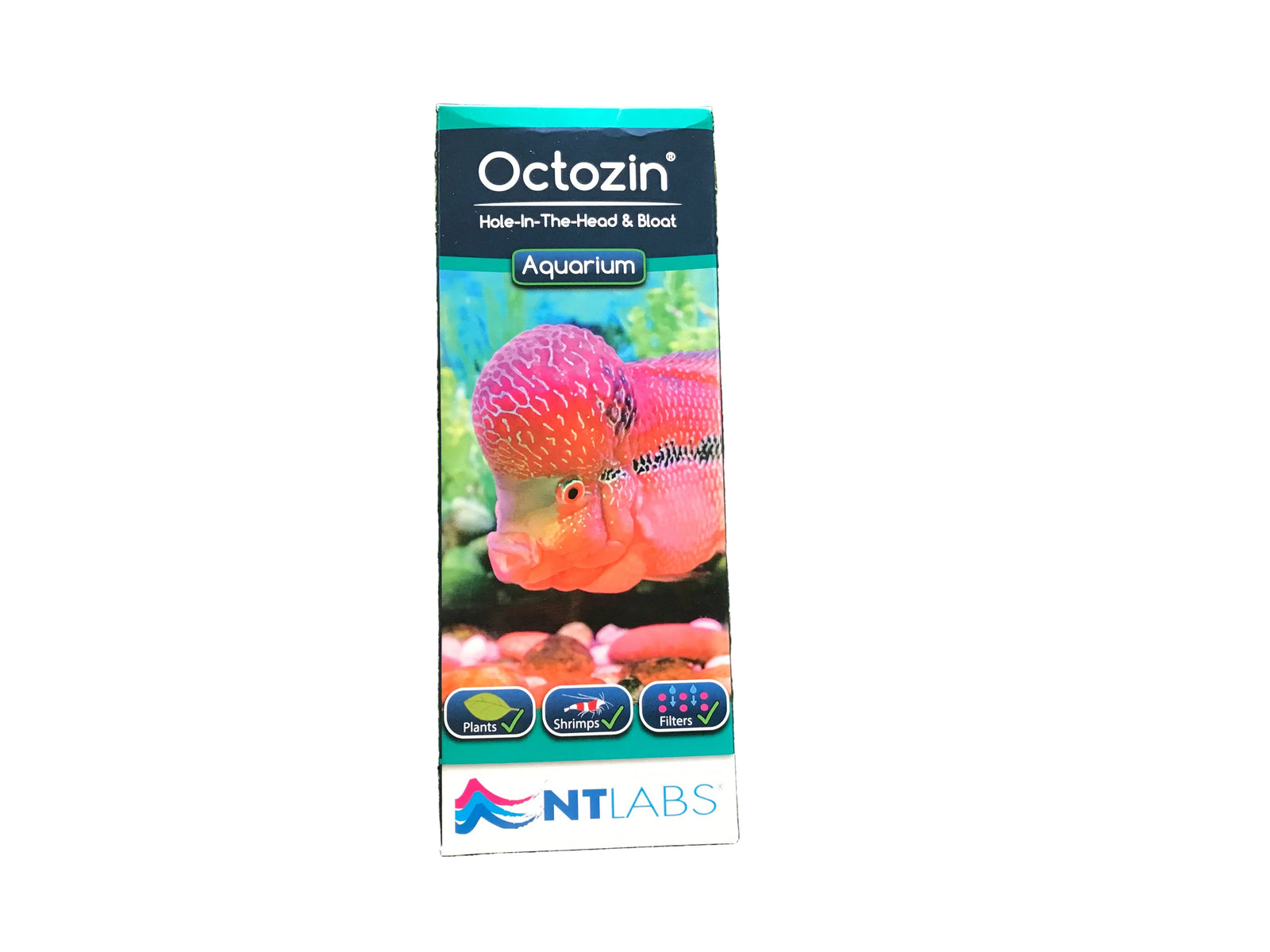 Octozin Hole-In-The-Head & Bloat
