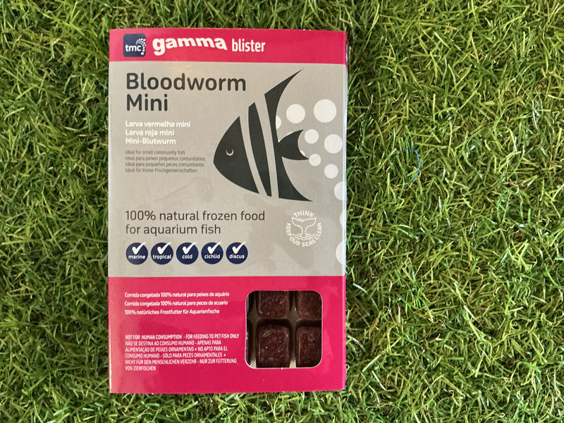 Gamma Frozen Concentrated Mini Bloodworm Blister Pack 100g
