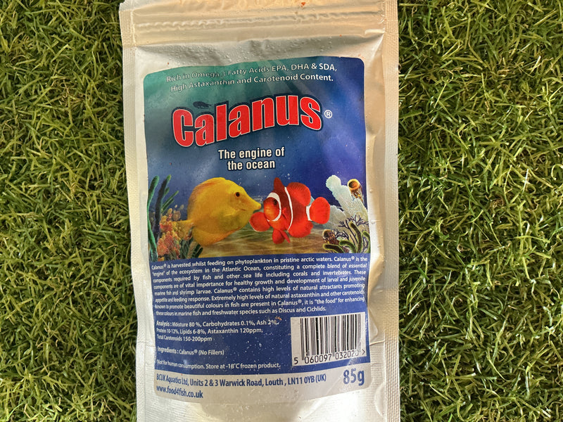 Frozen Calanus 85g