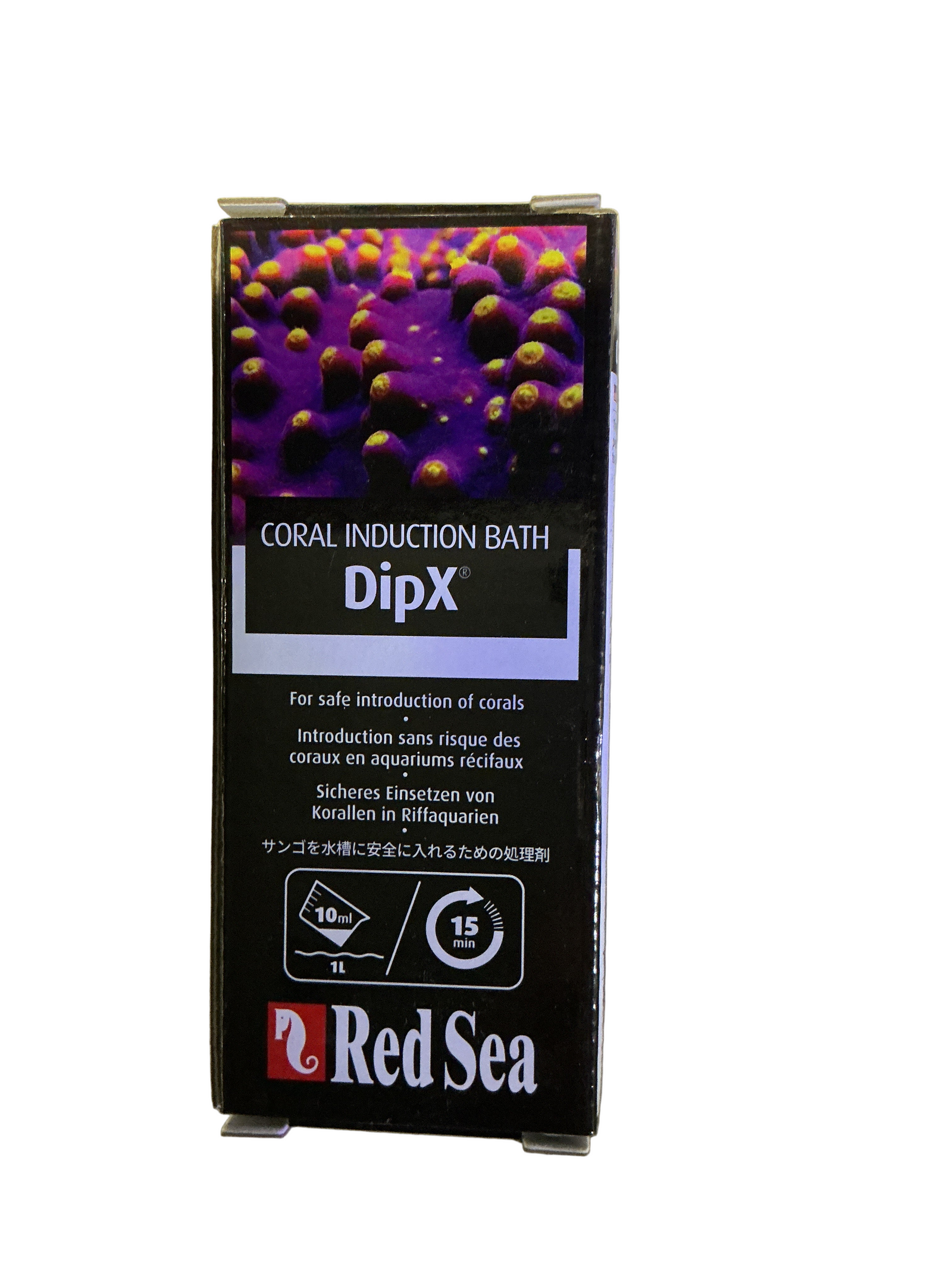 Red Sea dip x