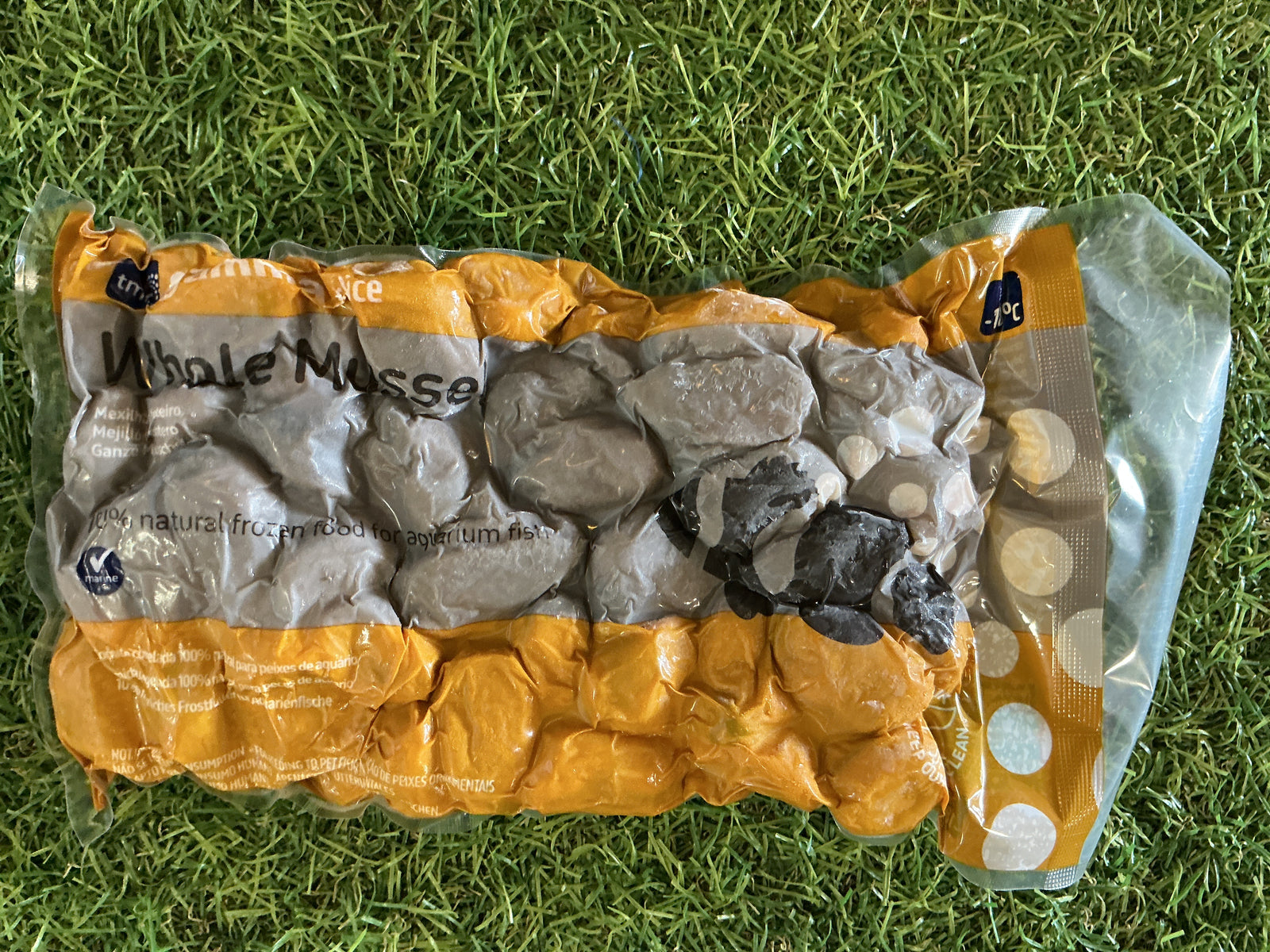 Gamma Frozen Whole Mussel 250g