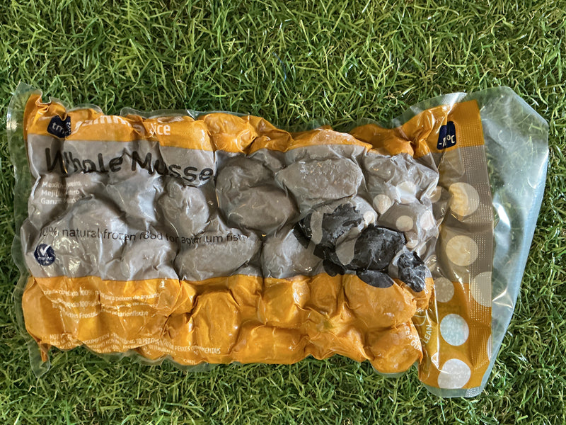 Gamma Frozen Whole Mussel 250g