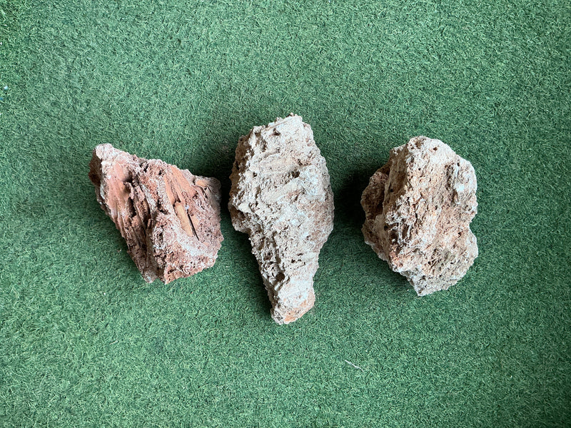 Gorgon rock 1kg