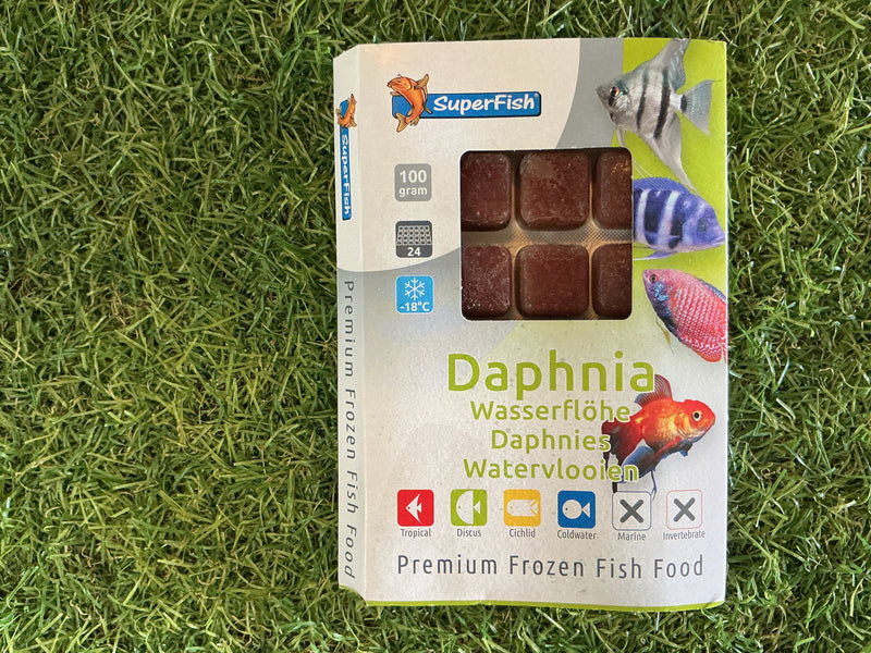Super fish Daphnia 100g blocks