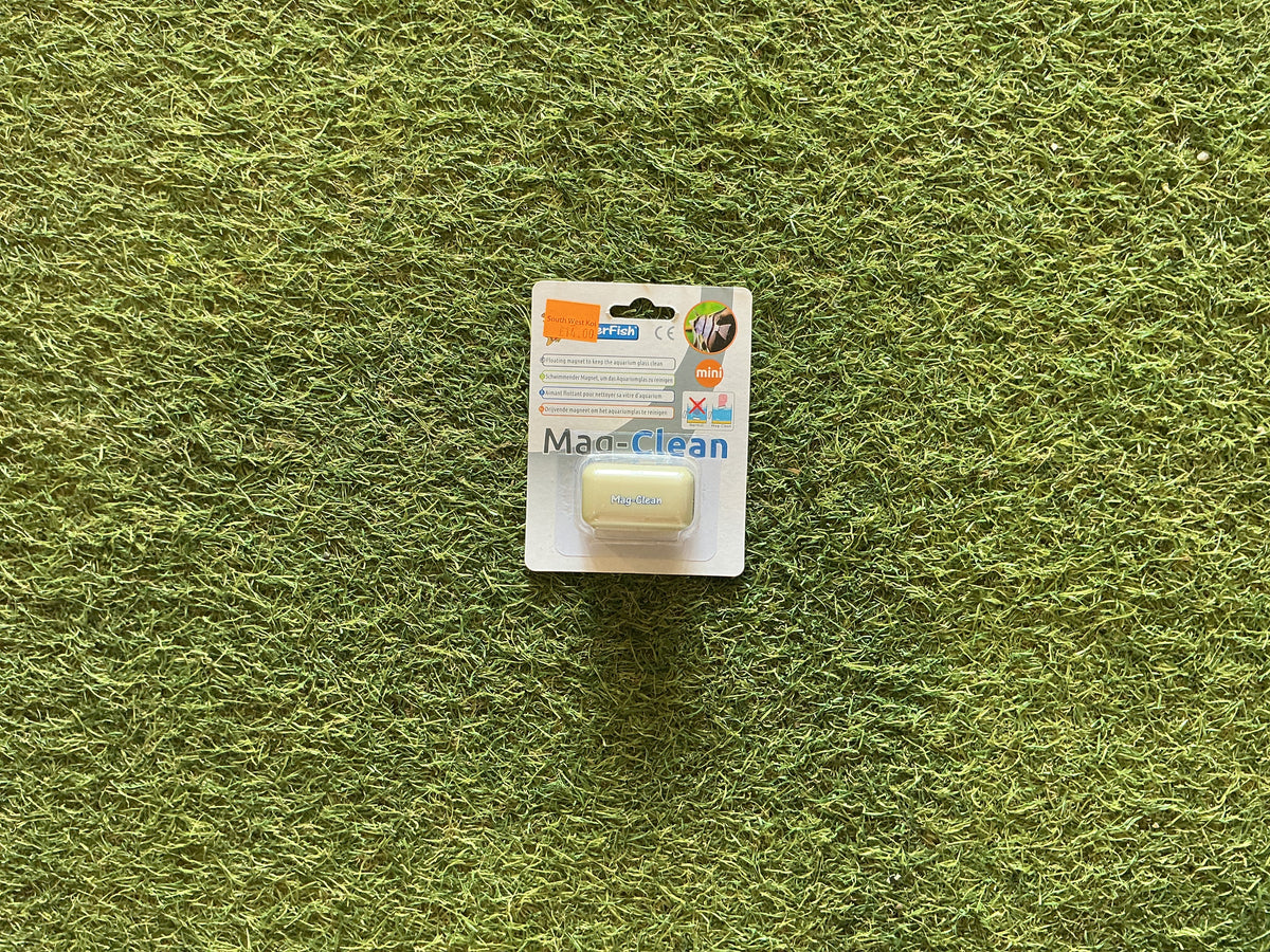 Superfish mag clean mini