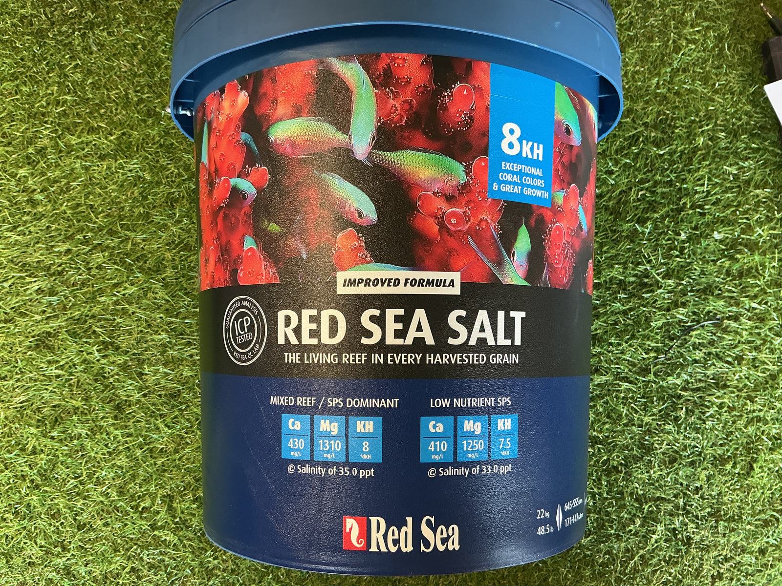 Red Sea salt