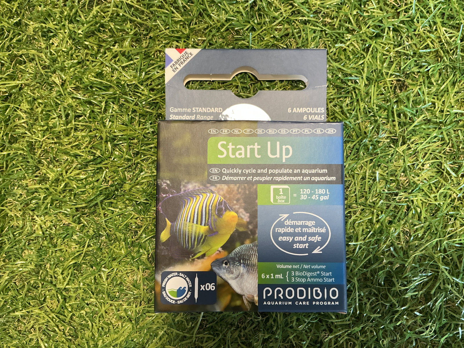 Start up