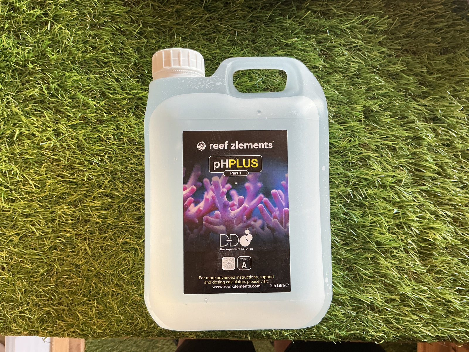 Ph plus D&D