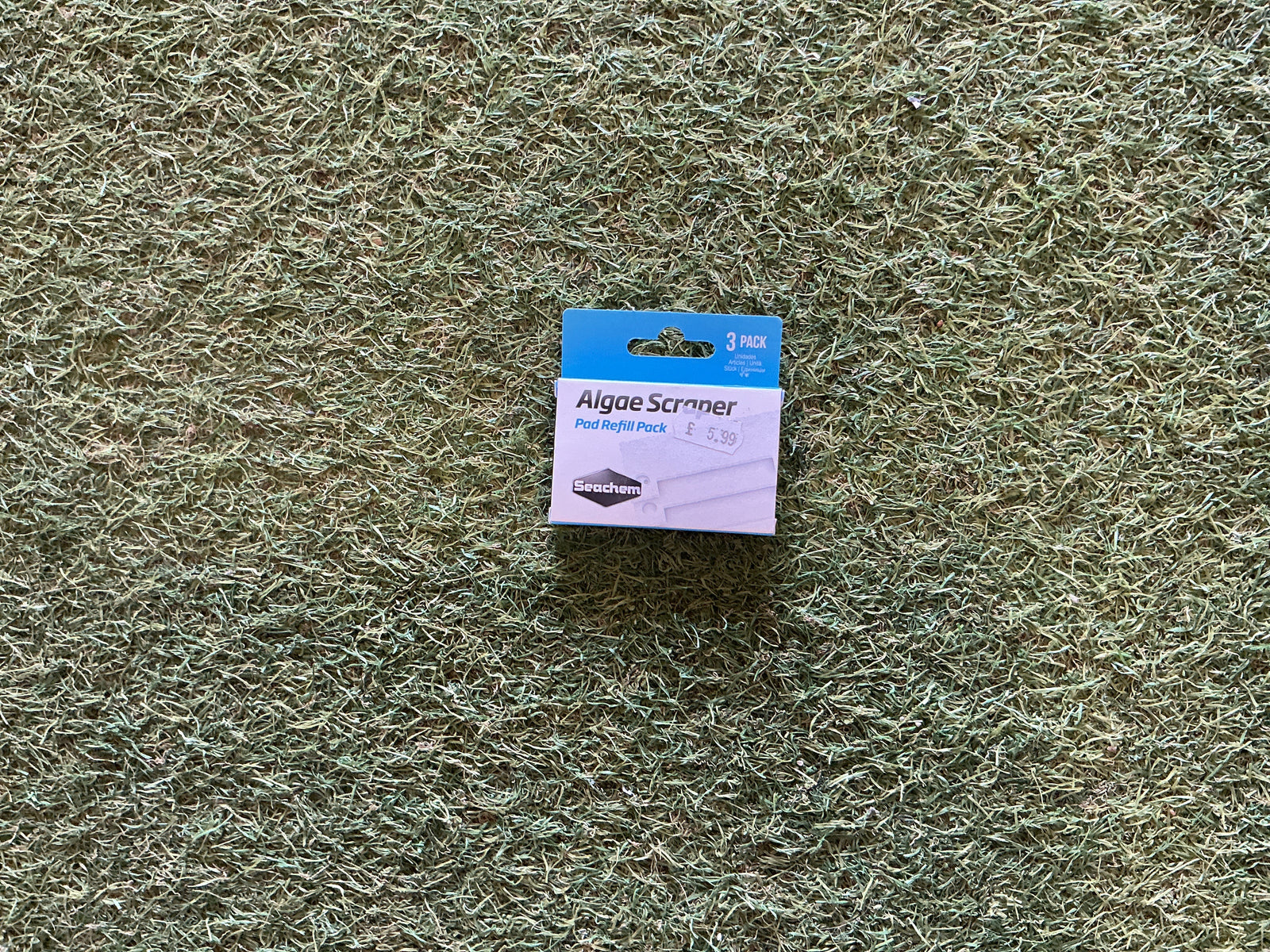 Seachem Algae Scraper 3pk