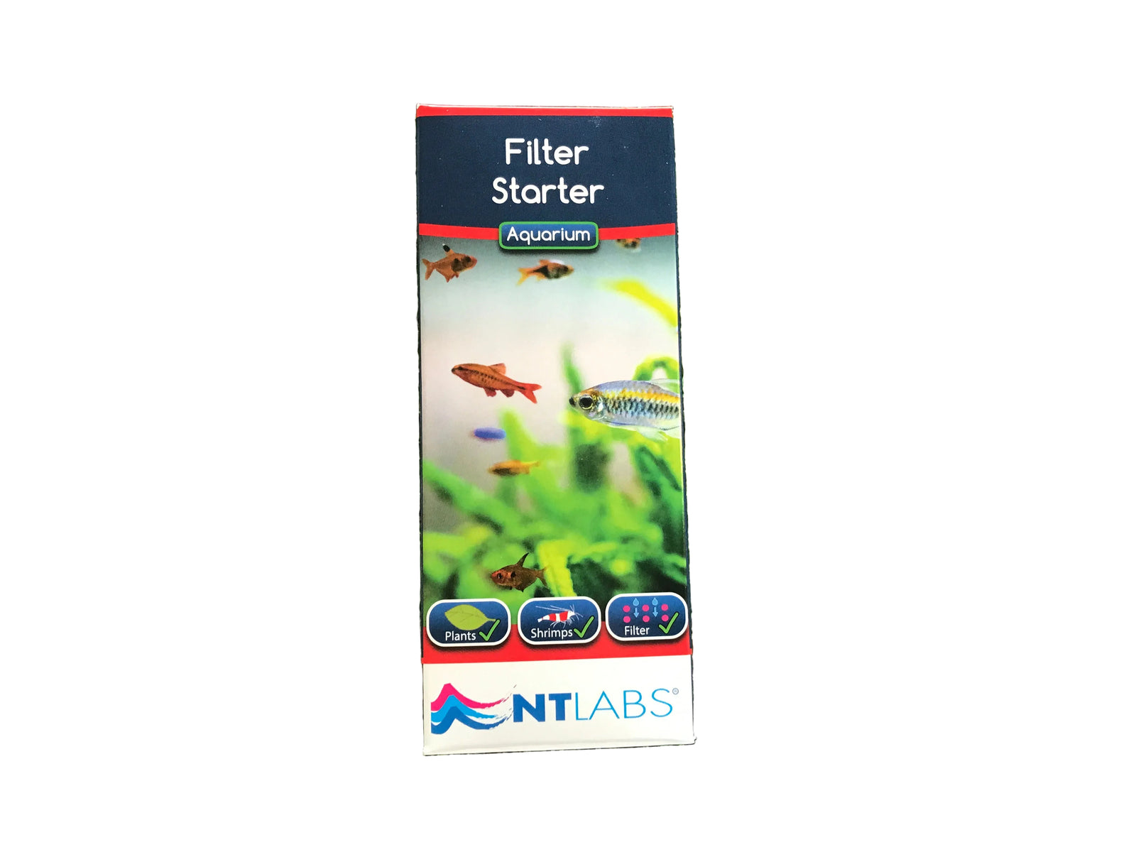 Filter Starter
