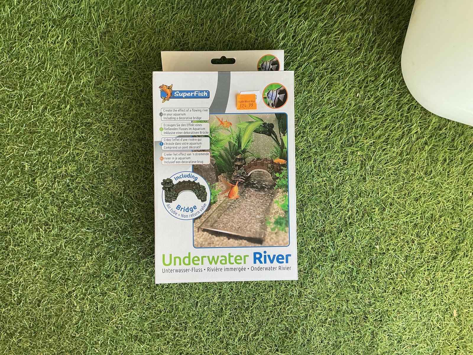 Superfish Underwater River